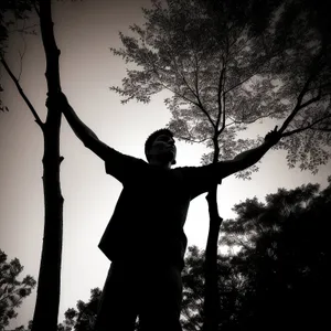 Sunset Swing in Park - Outdoor Silhouette of Man on Tree Swing