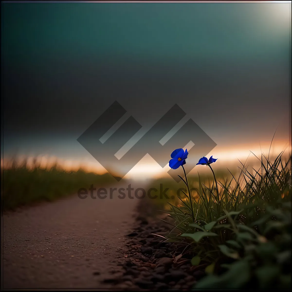 Picture of Sunrise Over Rural Farmfield