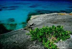 Tropical island beach paradise with rocky coastline cliffs. The colors and crystal clear water of the archipelago of the Similan Islands National Park, Thailand, Asia