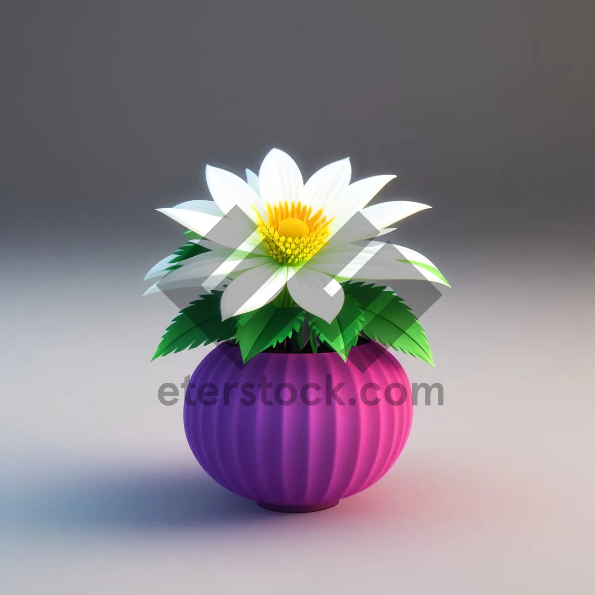 Picture of Yellow Daisy Blossom, Vibrant Floral Petals in Bloom