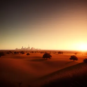 Serene Sunset Over Desert Sand Dunes