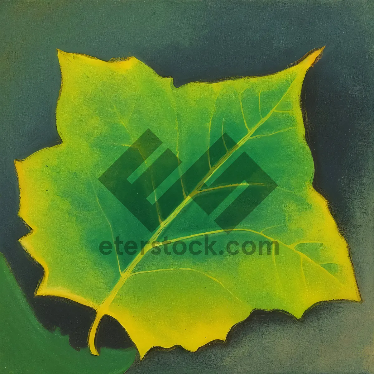 Picture of Colorful Fall Maple Leaf