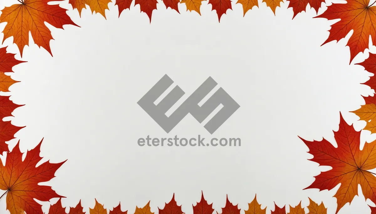Picture of Colorful Autumn Leaves Border Decoration.