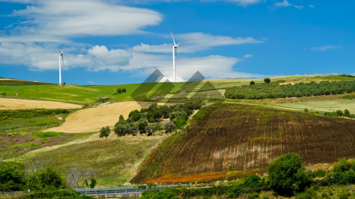 Picture of Meandering Clouds Over Rolling Green Hills and Wind Turbines