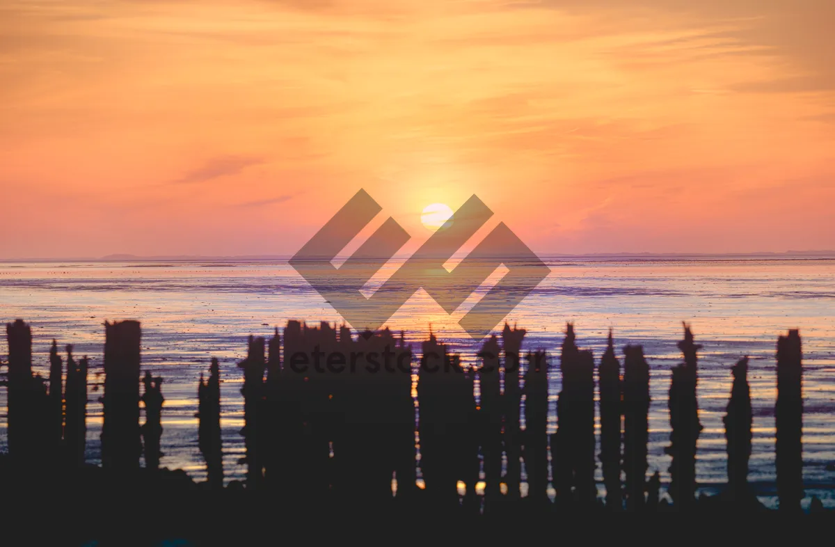 Picture of Orange Sunset Silhouette Over Ocean Pier