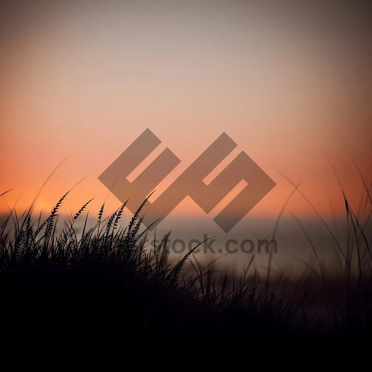 Picture of Sunset Over Rural Meadow with Wheat Fields