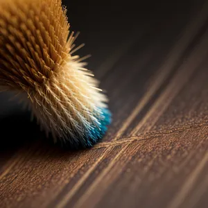 Colorful Bristle Brush and Pencil Combo