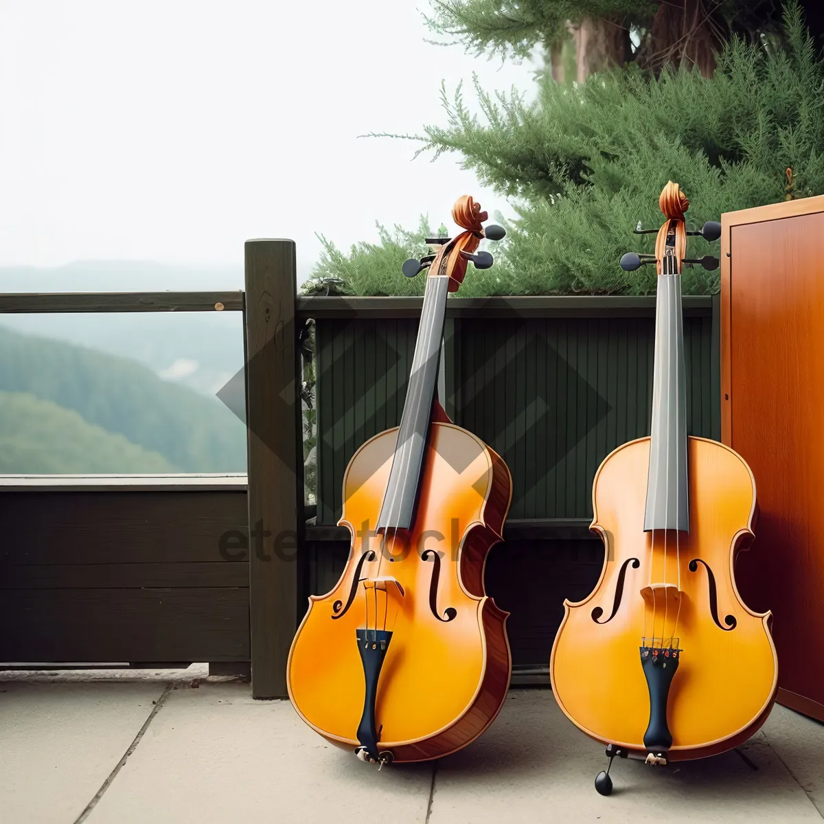 Picture of Acoustic Bass Guitar in Concert Performance