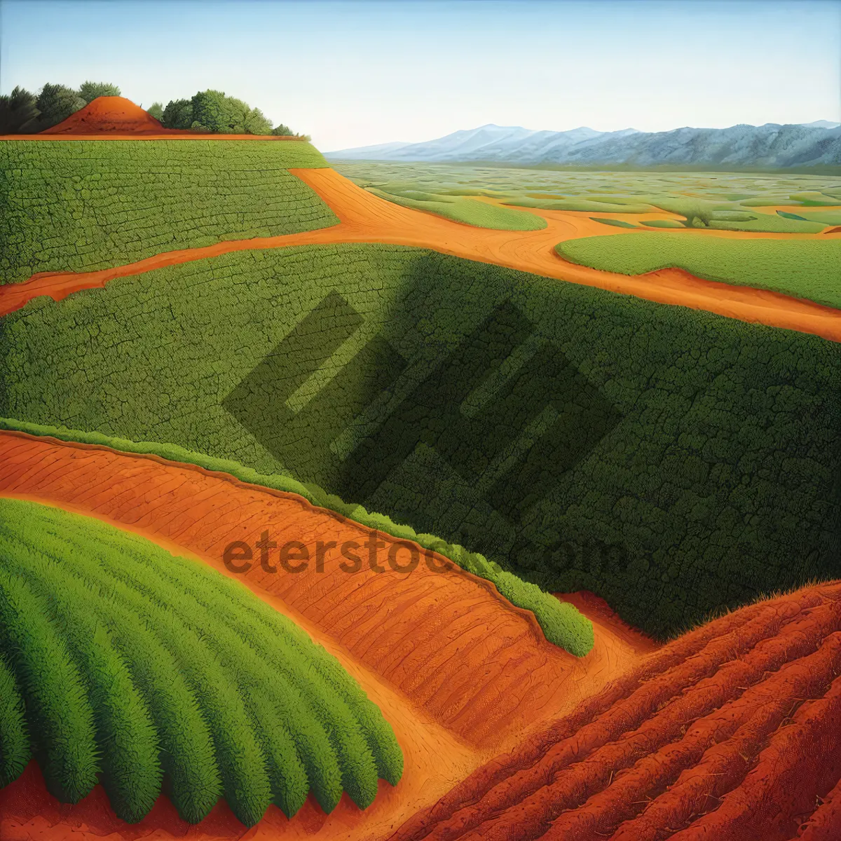 Picture of Rural Farm Landscape with Pumpkin Fields and Clear Sky