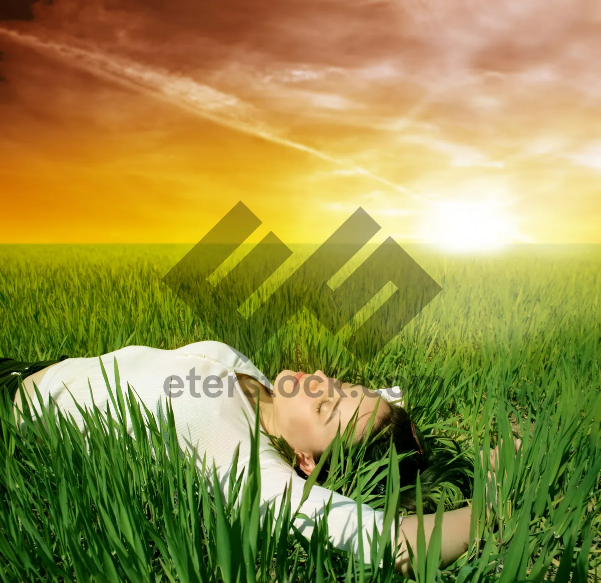 Picture of Sunlit field with cloudy sky and person