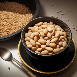 Assorted Nutritious Legume Bean Varieties