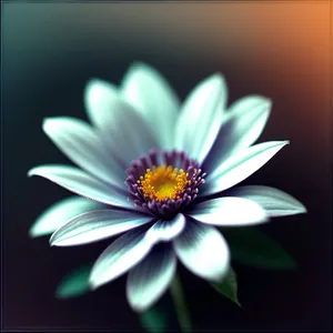 Bright Yellow Daisy Petals in Full Bloom