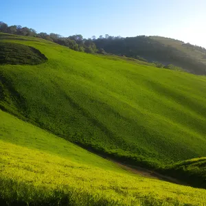 Serene Summer Sky Over Rolling Meadow