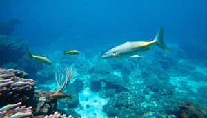 Exotic Coral Reef Diving Experience Underwater Scene.