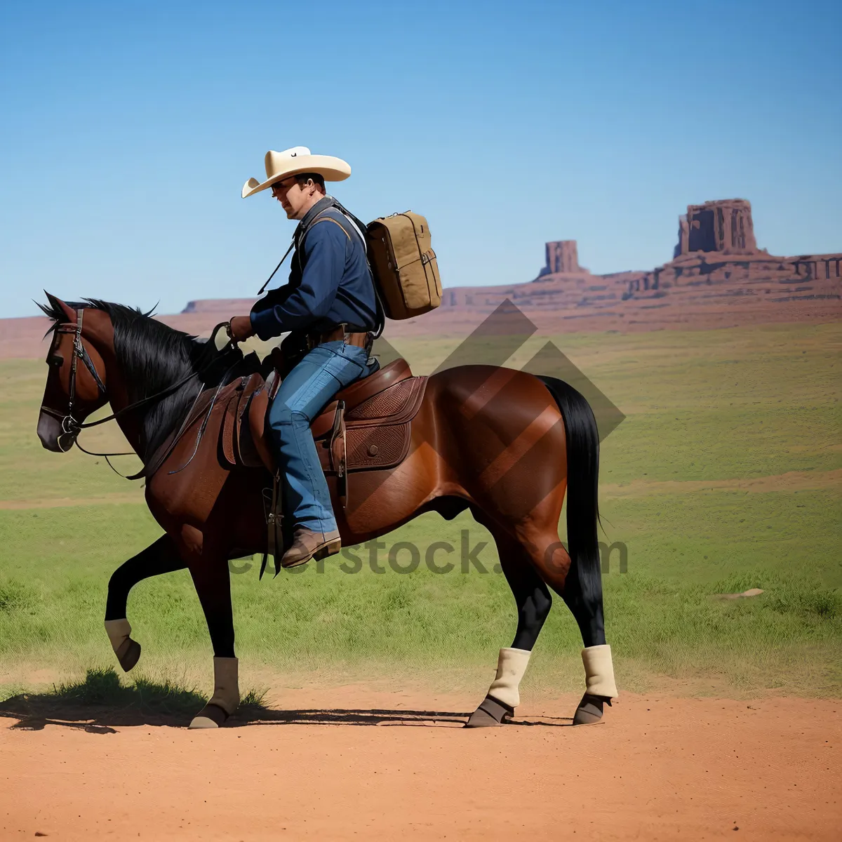 Picture of Stallion in Brown Stock Saddle Galloping