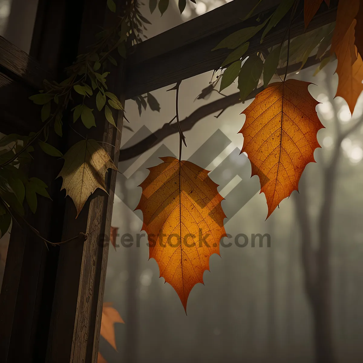 Picture of Autumn Canopy: Vibrant Leaves Embrace the Season