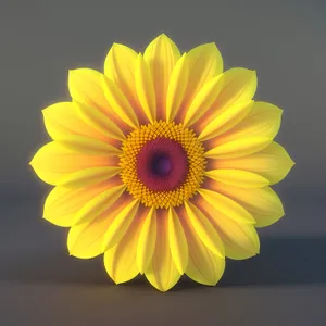 Vibrant Sunflower Blossom in Full Bloom.