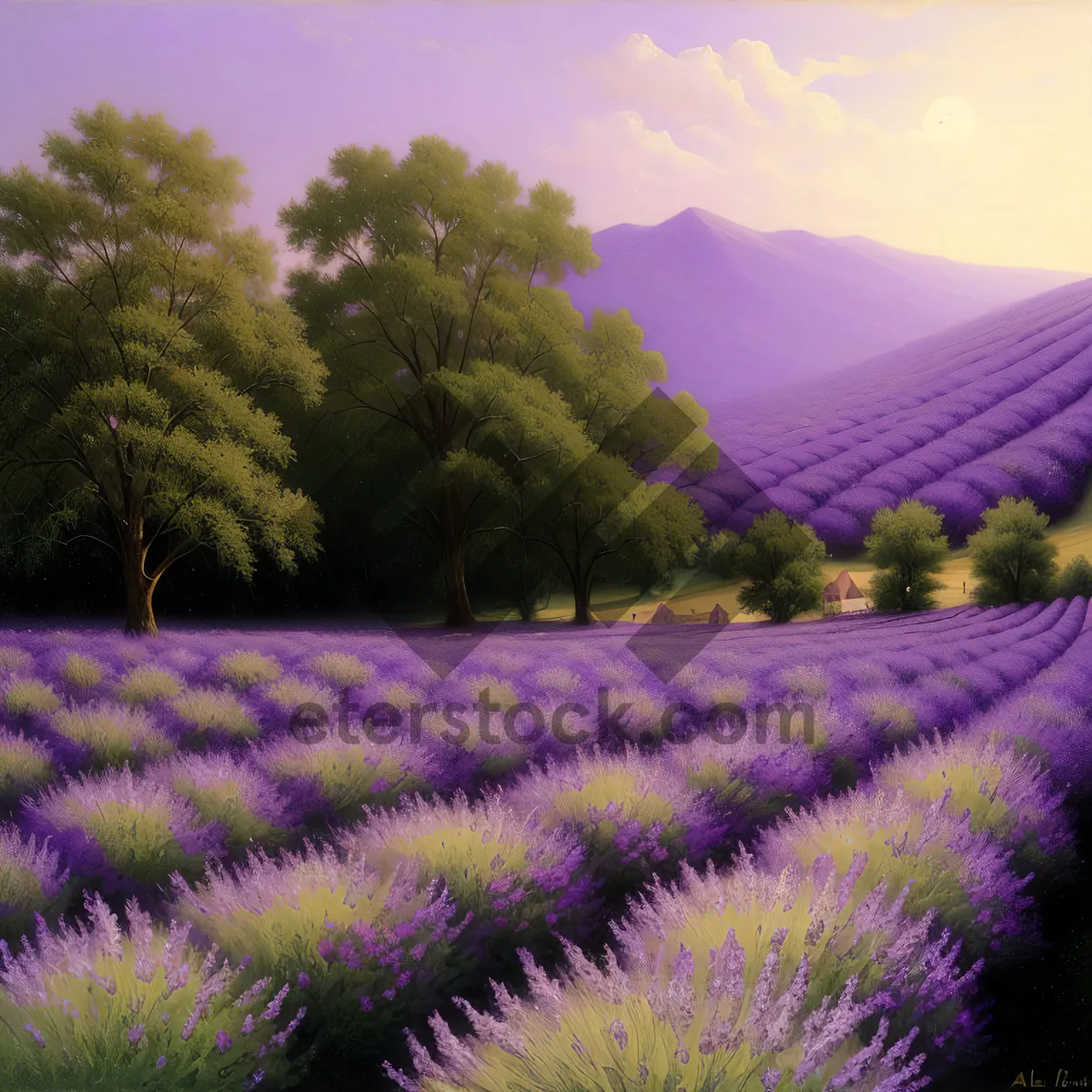 Picture of Serene Lavender Field Under Sunny Sky