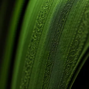 Vibrant Agave Leaf in a Desert Garden