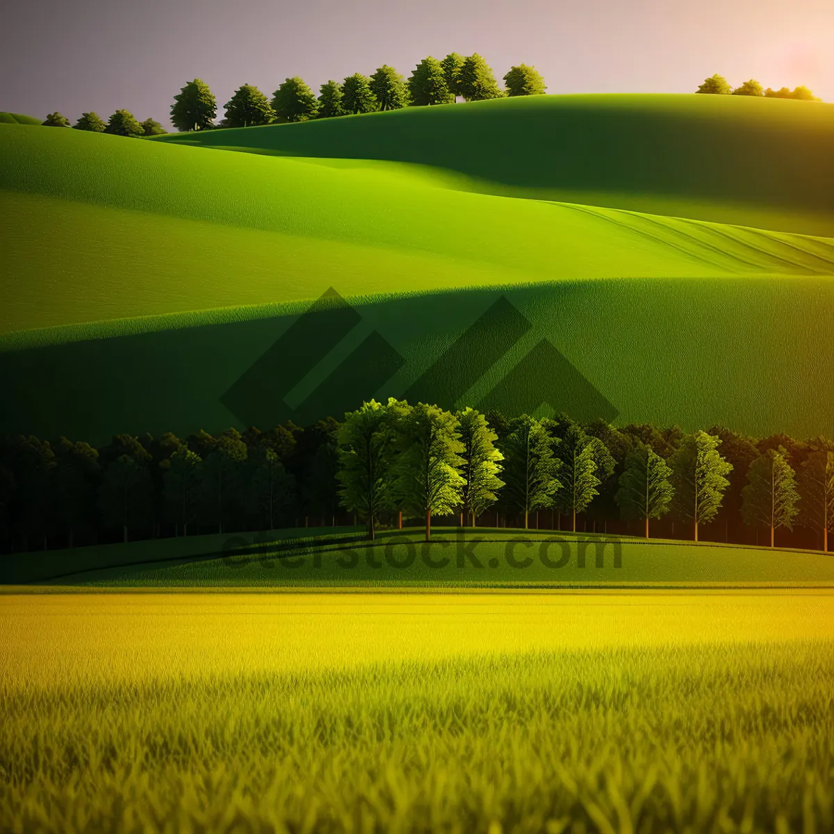 Picture of Golden Horizon: Vibrant Rapeseed Meadow in Rural Landscape