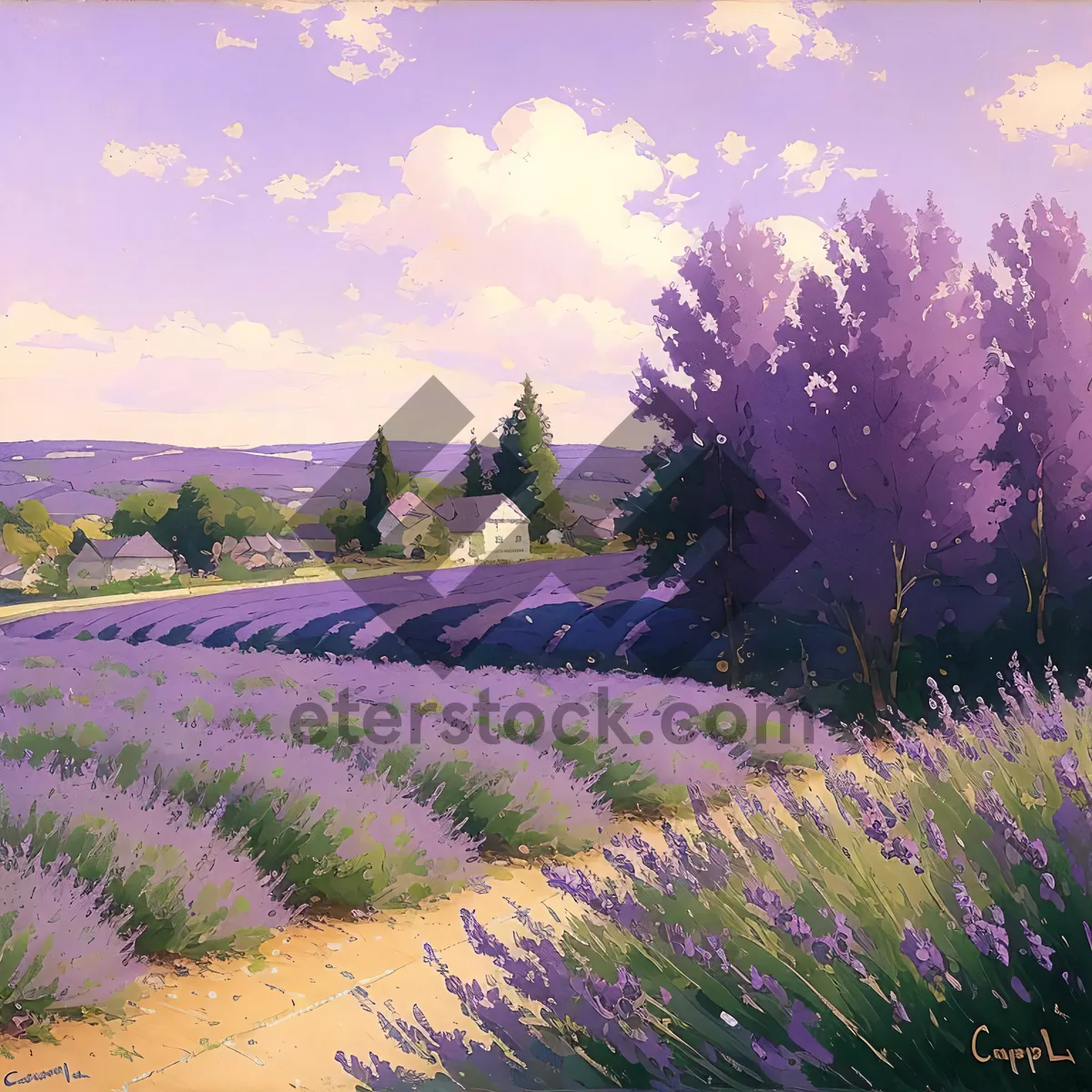 Picture of Serene Lavender Meadow Under Blue Sky