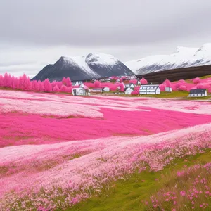 Vibrant Blooms in a Colorful Meadow