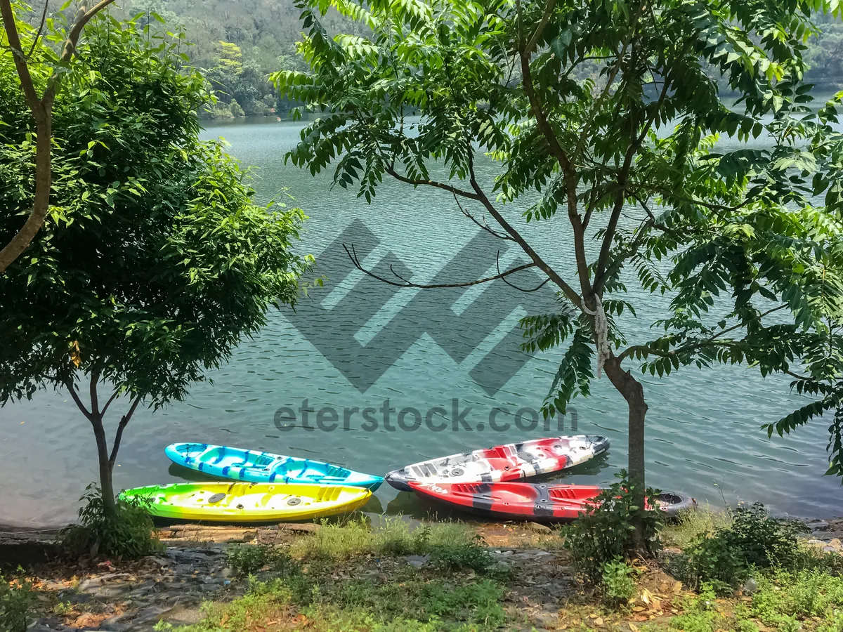 Picture of Small Boat on Summer Lake Shoreline Landscape View