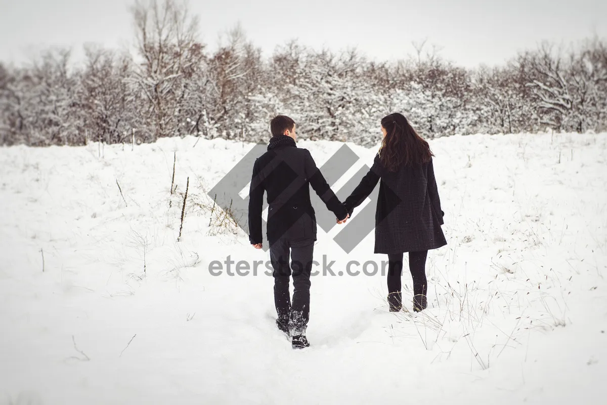 Picture of Winter sports in the snowy forest landscape.