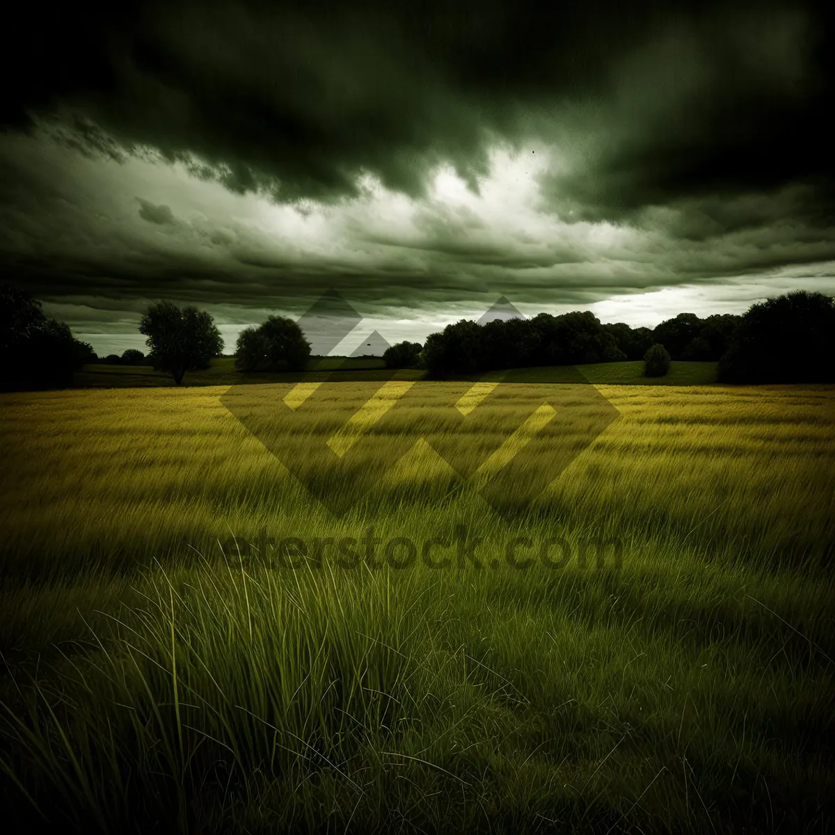 Picture of Serene Rural Landscape with Blue Sky and Rolling Fields