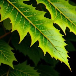 Vibrant Sumac Leaves in Enchanting Forest