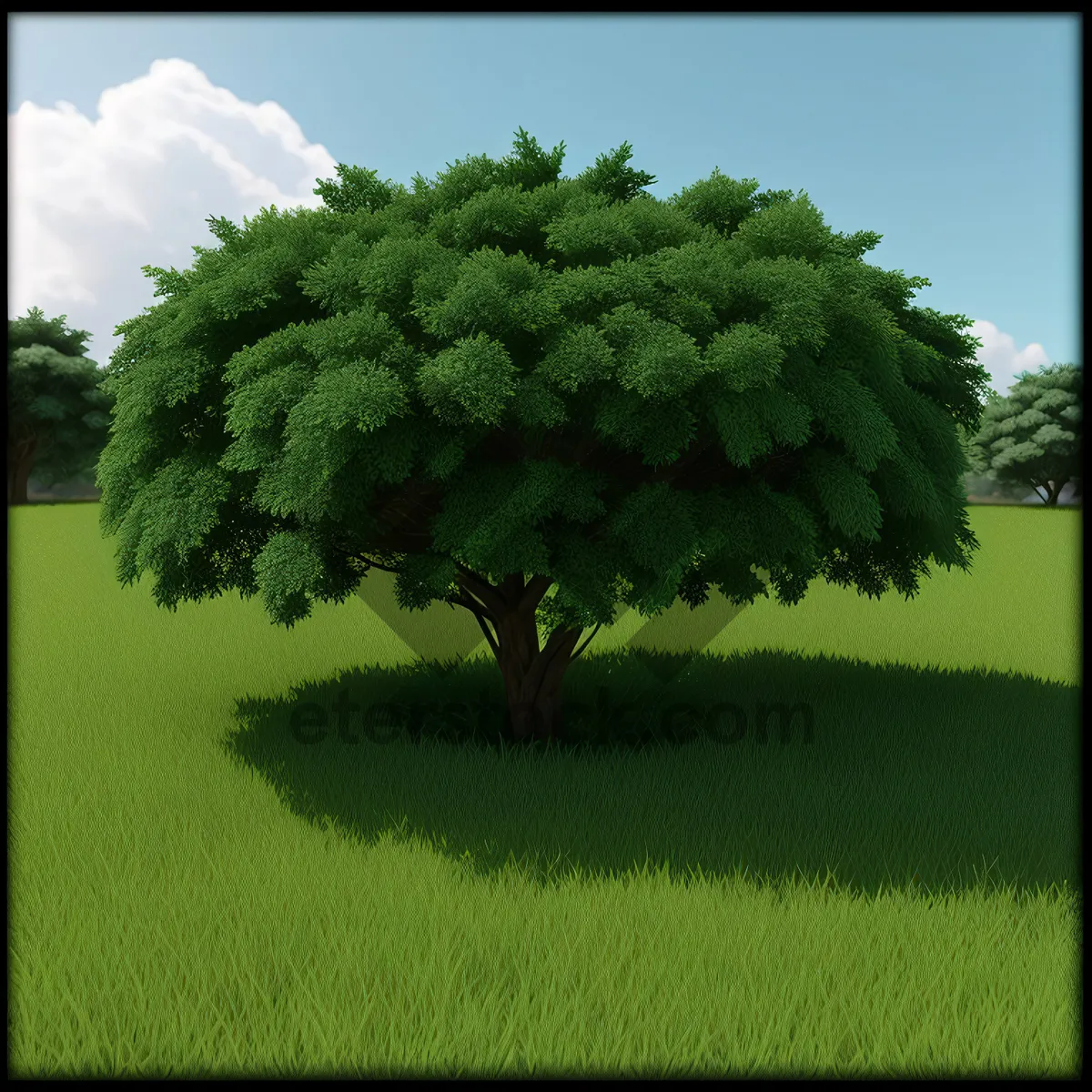 Picture of Summer Bonsai Tree Amongst Pine Landscape