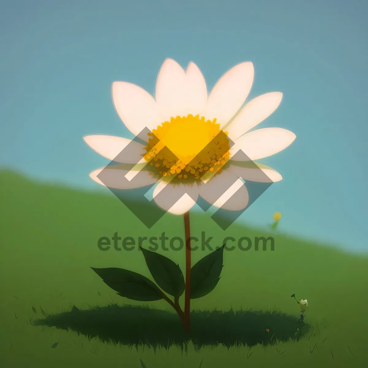 Picture of Bright Yellow Daisy Blossom in Fresh Meadow