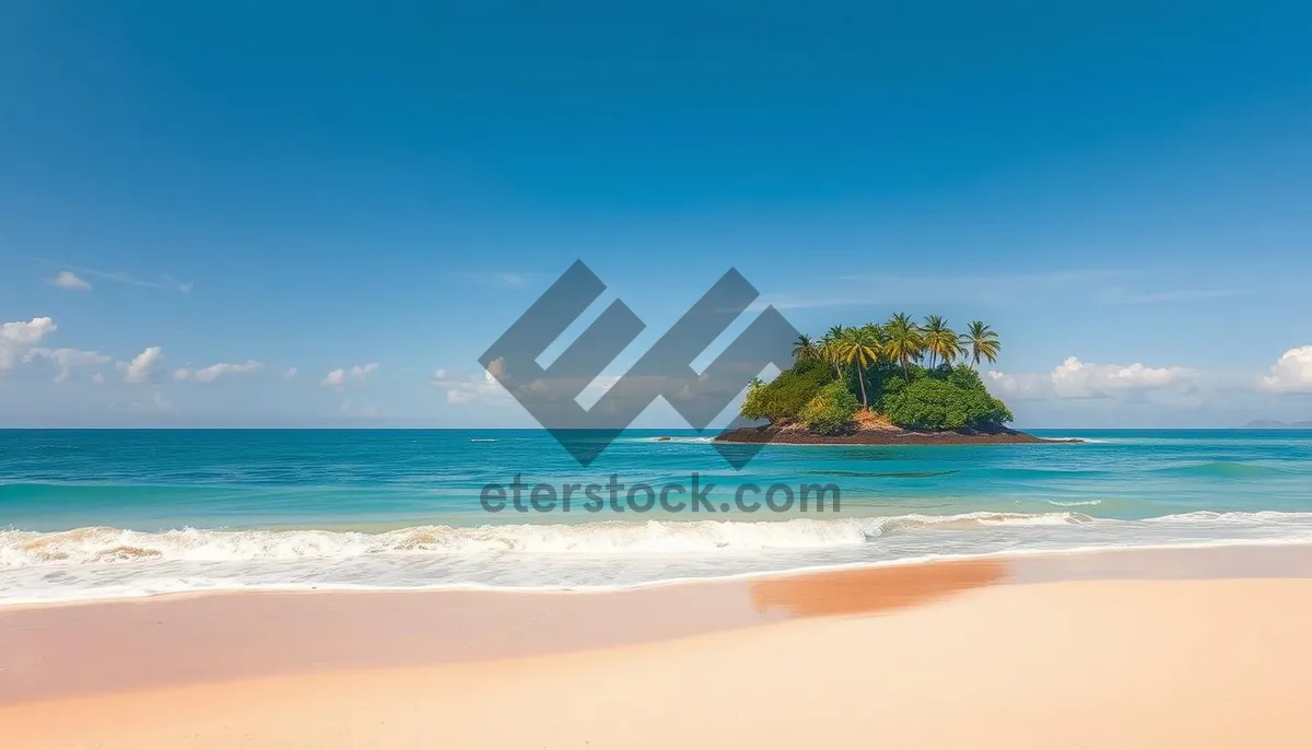 Picture of Tropical paradise beach with crystal clear turquoise water.