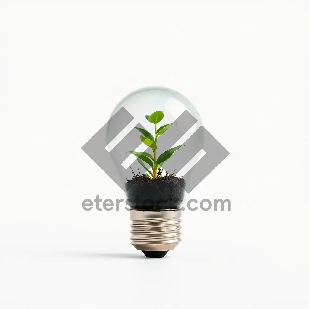 Picture of Glowing plant bulb illuminating leaf with innovative energy solution.