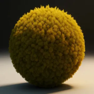 Closeup of Golf Ball and Litchi: Edible Spheres of Leisure