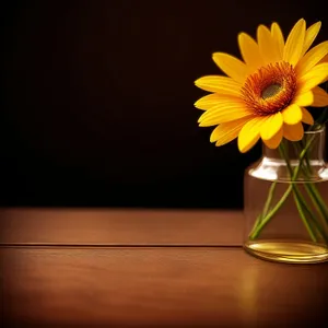 Vibrant Sunflower Blossom under Sunny Sky