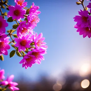 Floral Beauty in Pink: Summer Blossoms and Leafy Patterns