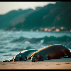 Sunny Beach Bliss: Relaxing Oceanic Getaway