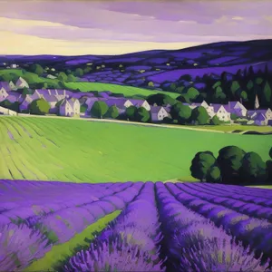 Vibrant Lavender Field Painting