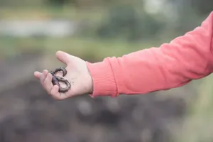 Man's hands holding fingers together