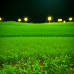 Serene Summer Landscape Under Fluffy Clouds