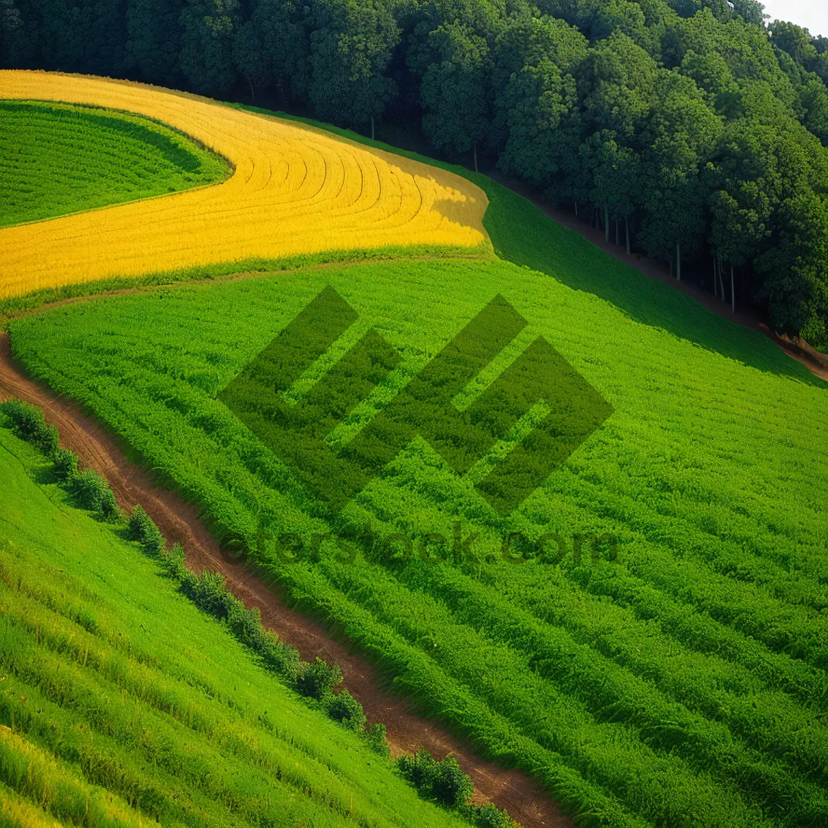 Picture of Serene Highland Farm in Summer Countryside