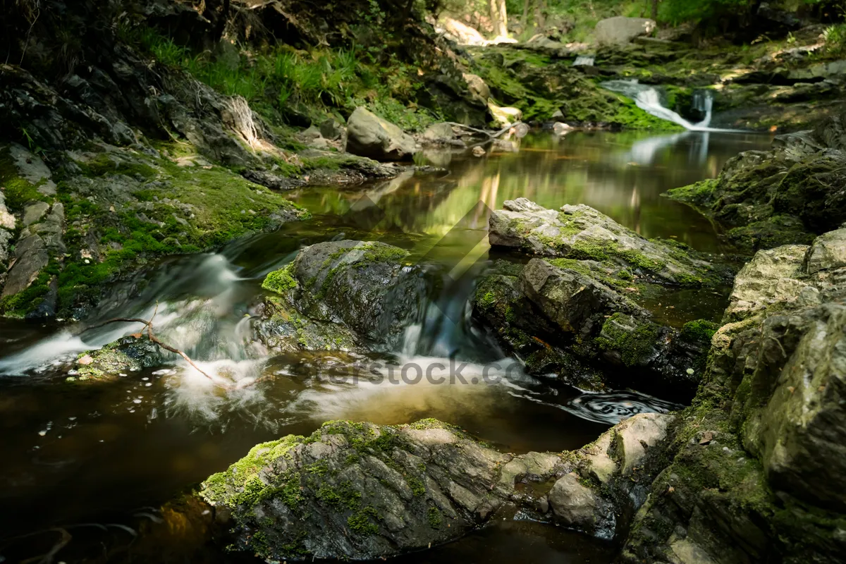 Picture of Tranquil waterfall in a lush forest landscape.