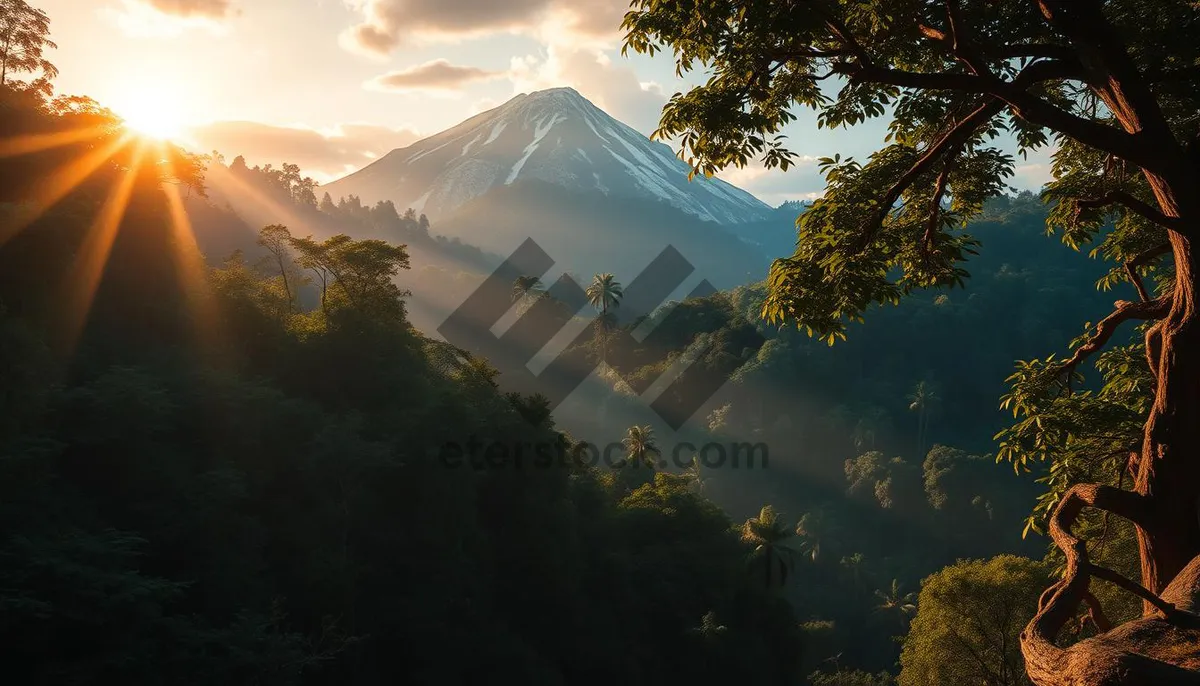Picture of Snow-covered mountain peak with scenic forest landscape.
