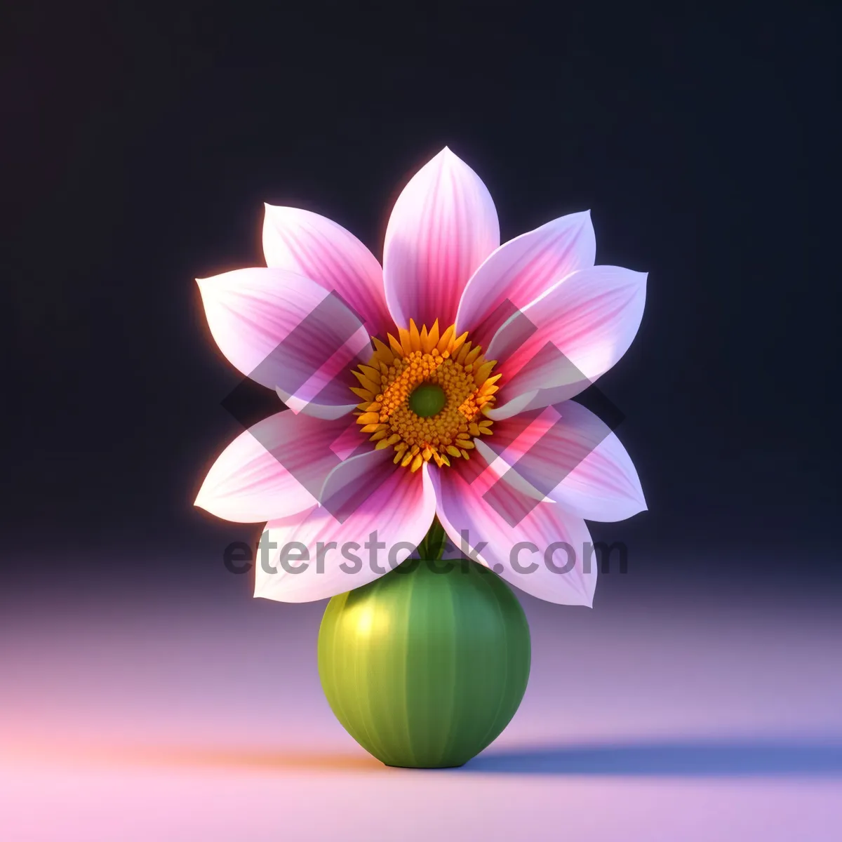 Picture of Blooming Lotus Floral Blossom in Pink