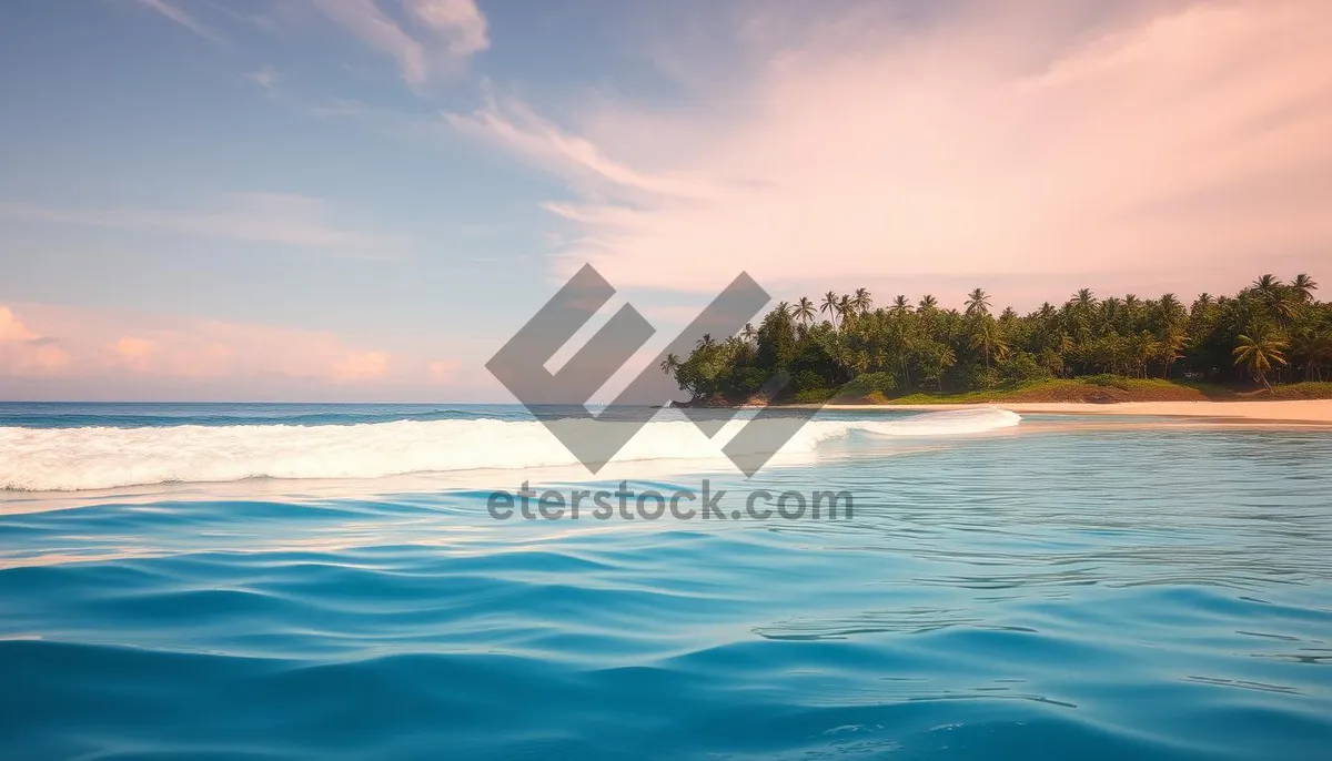 Picture of Tropical Paradise Beach Resort by the Ocean