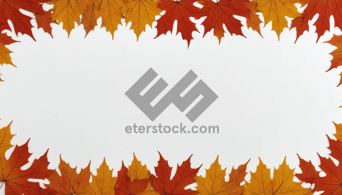 Picture of Autumn Foliage Frame