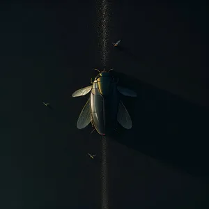 Close-up shot of a mosquito on a leaf.