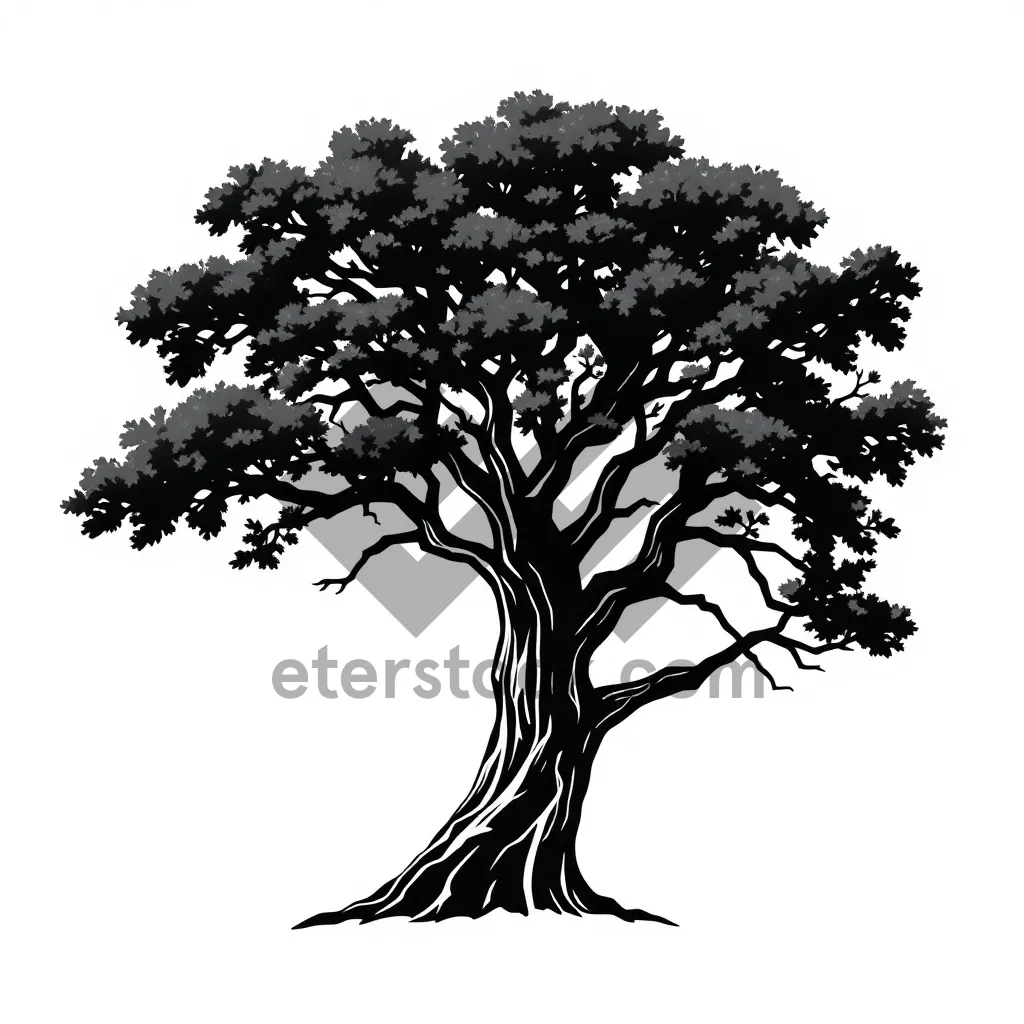 Picture of Floral tree silhouette on wood background