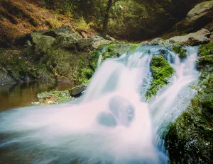 Summer waterfall in tranquil forest landscape